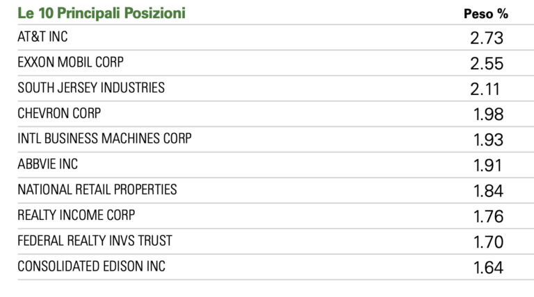 etf usdv componenti